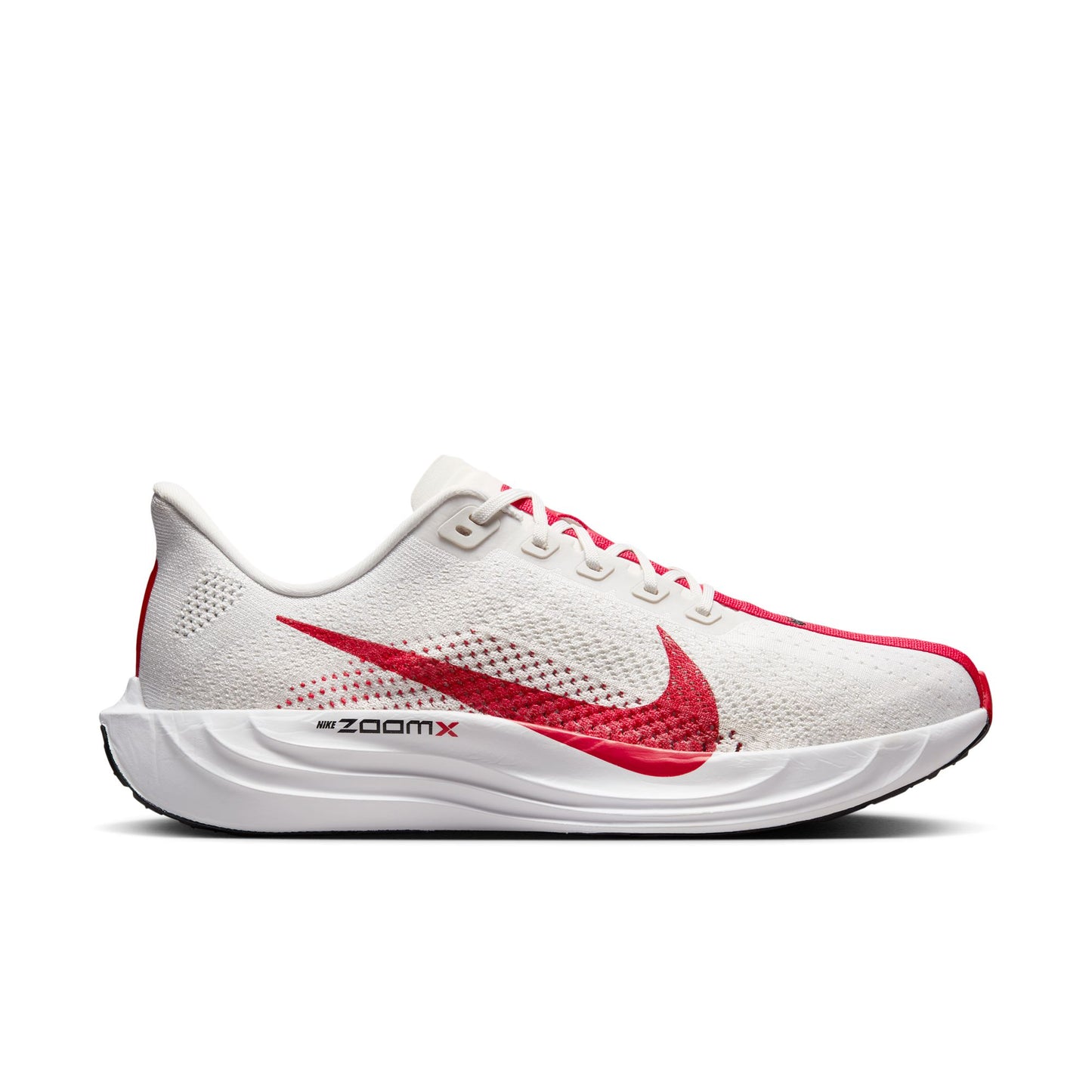 Mens Nike Pegasus Plus