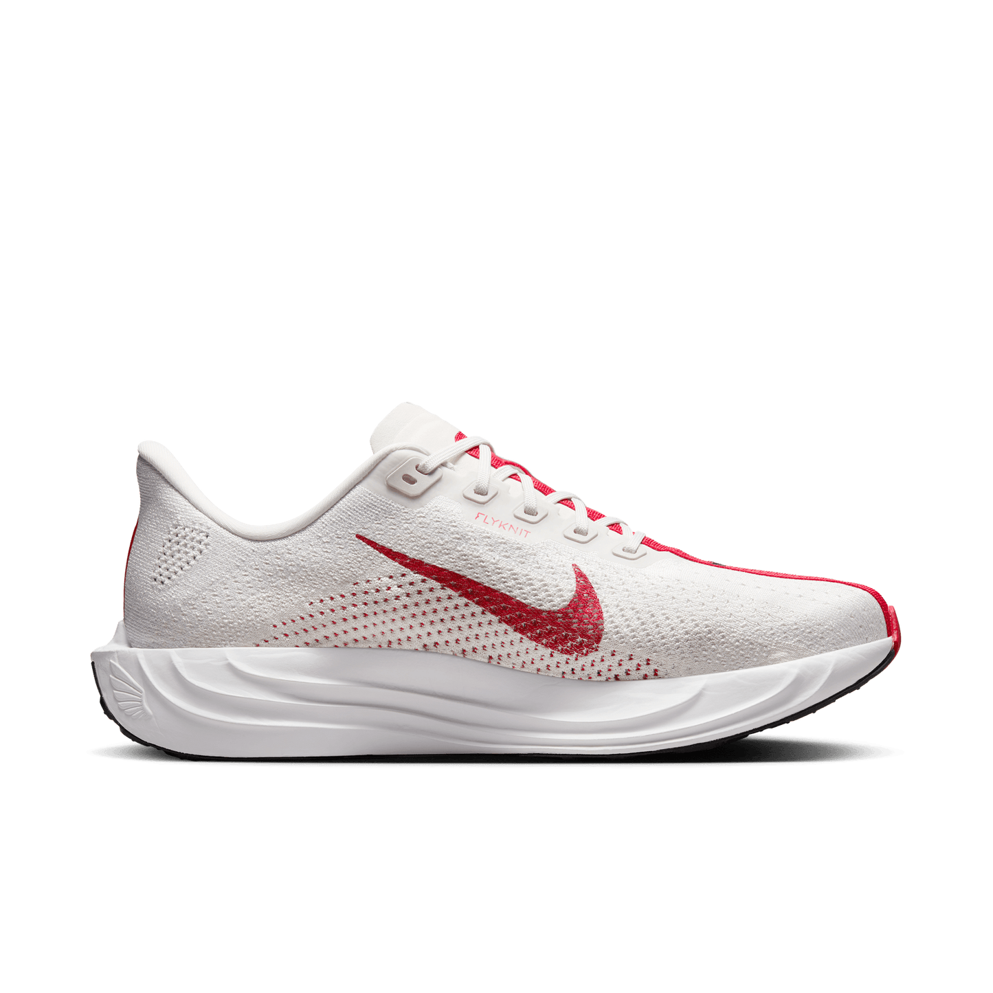 Mens Nike Pegasus Plus