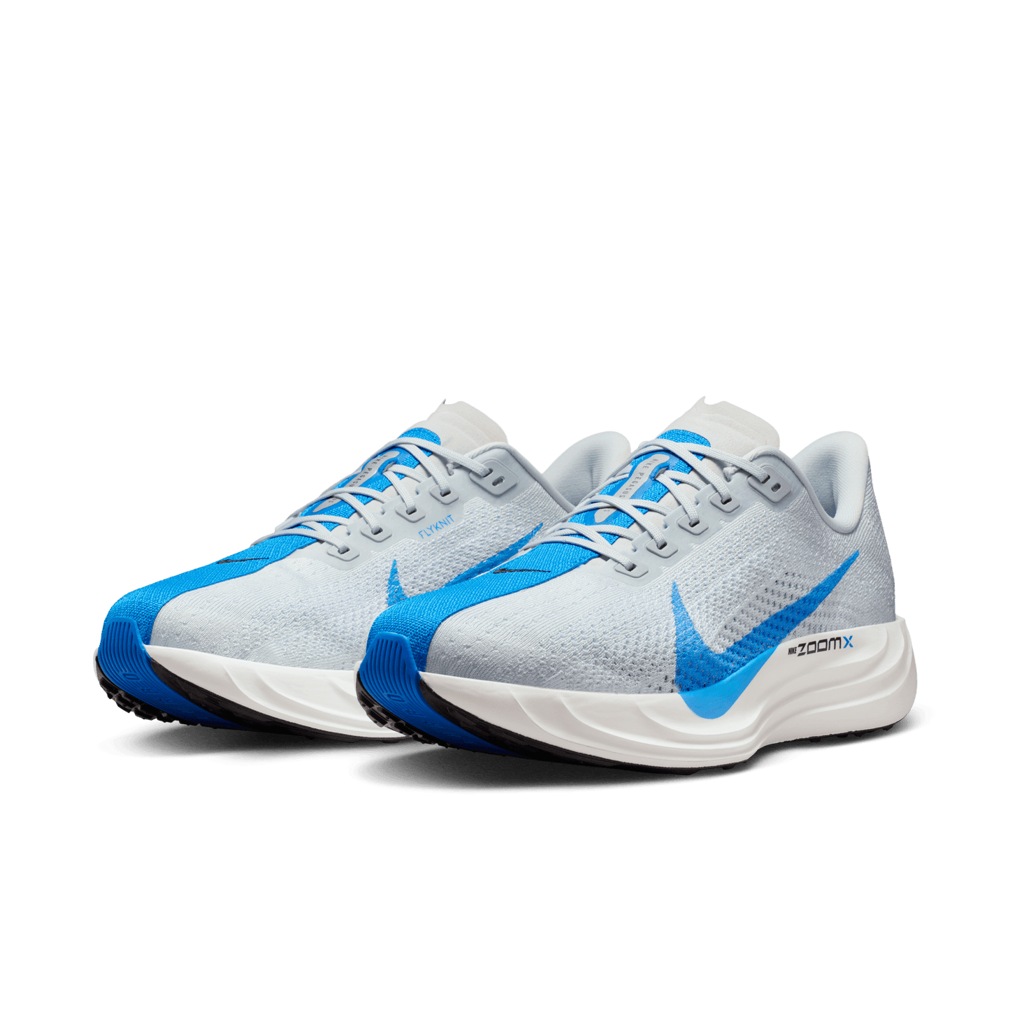 Mens Nike Pegasus Plus