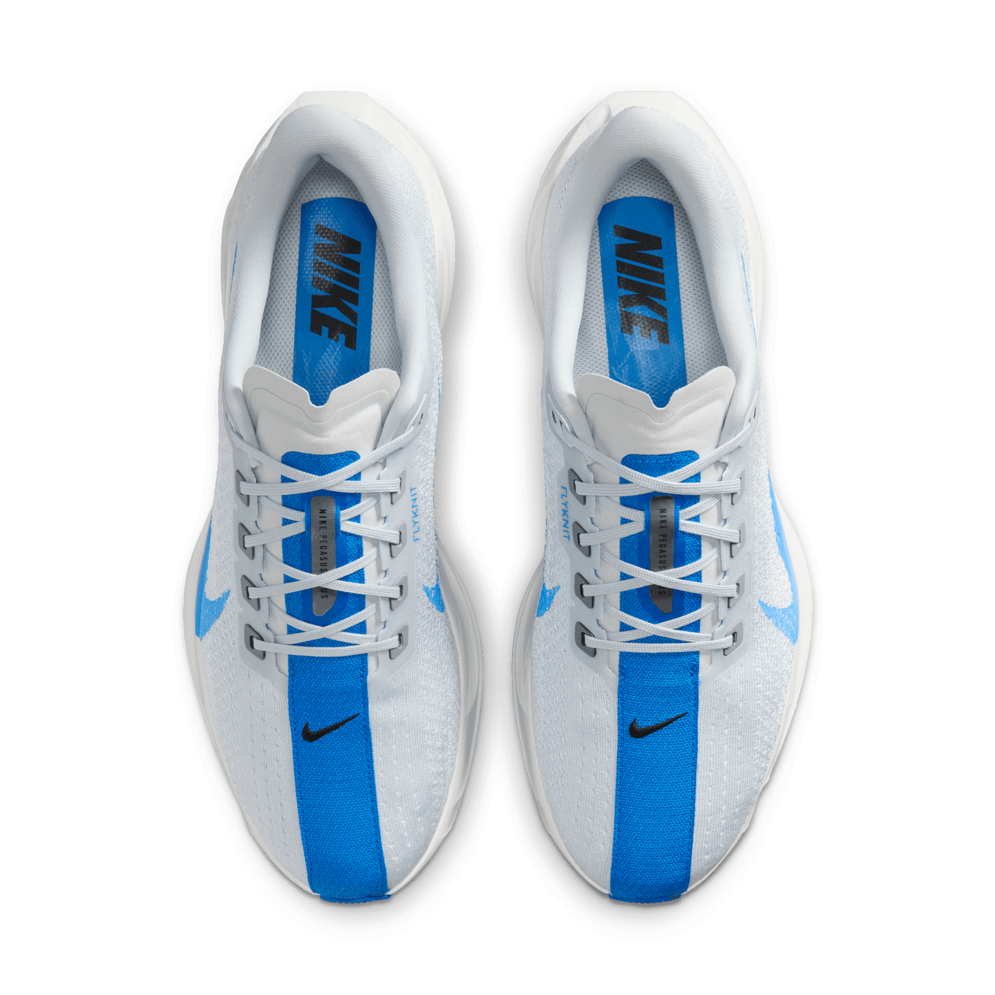 Mens Nike Pegasus Plus