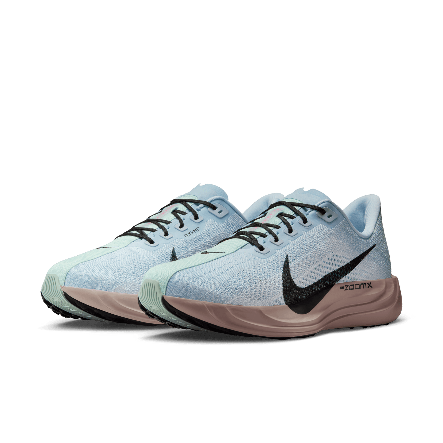 Mens Nike Pegasus Plus