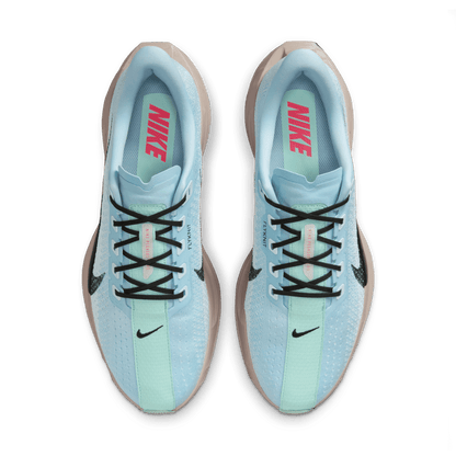 Mens Nike Pegasus Plus