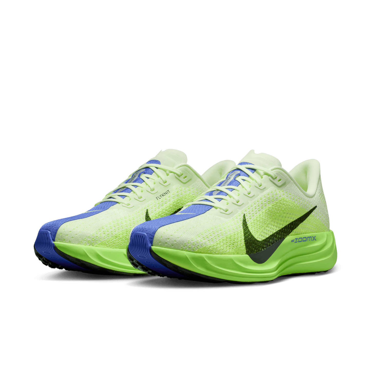 Mens Nike Pegasus Plus