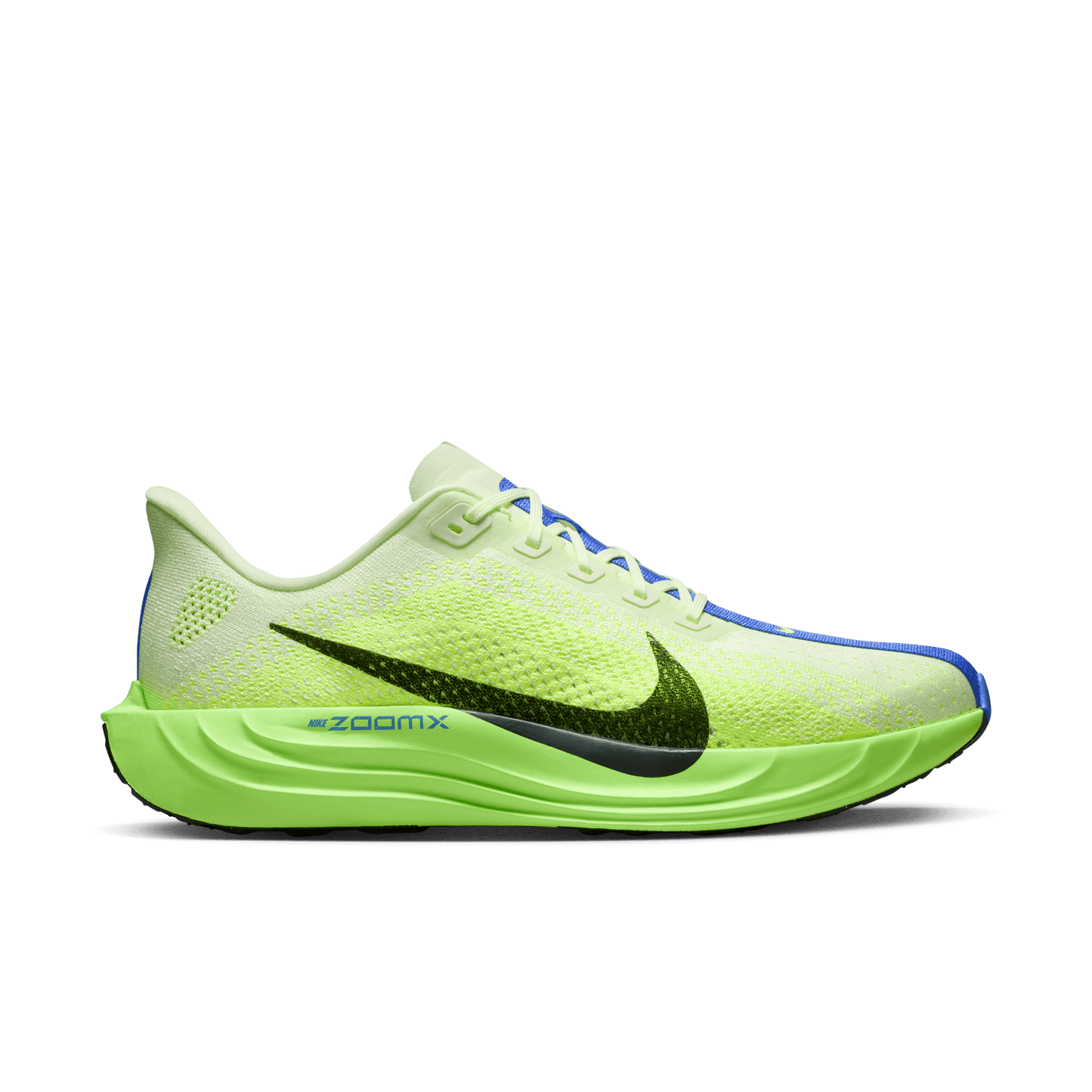 Mens Nike Pegasus Plus