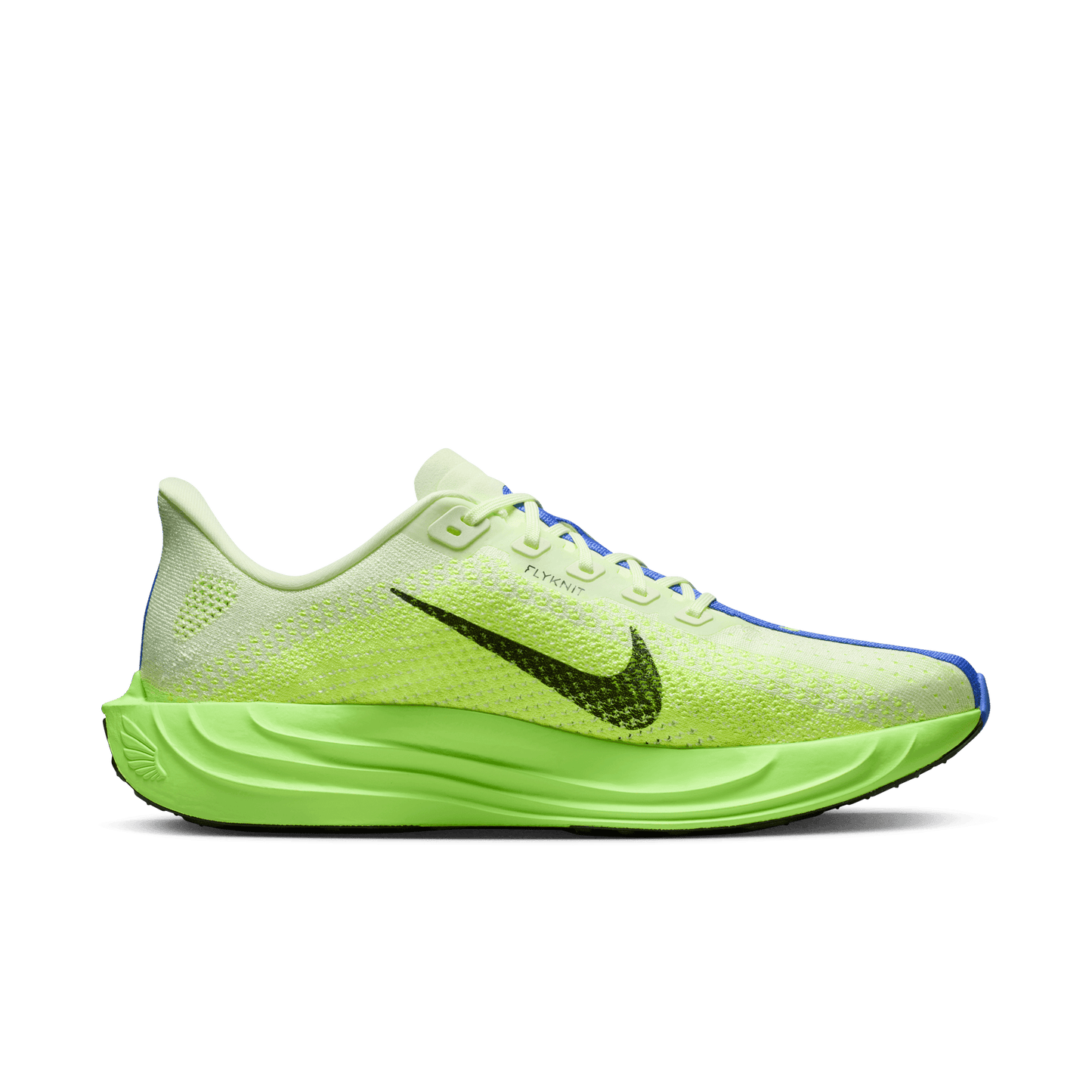 Mens Nike Pegasus Plus