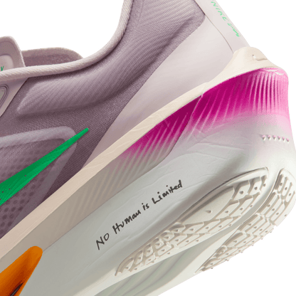 Mens Nike Zoom Fly 6 EK