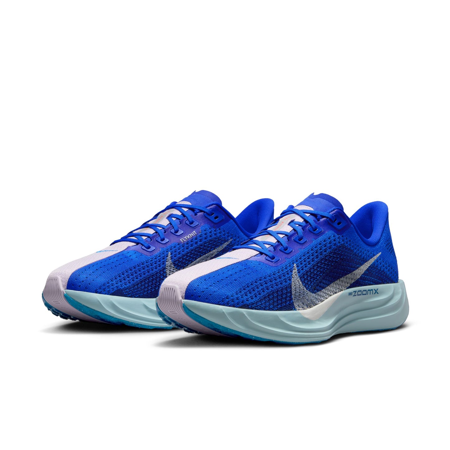 Mens Nike Pegasus Plus CM