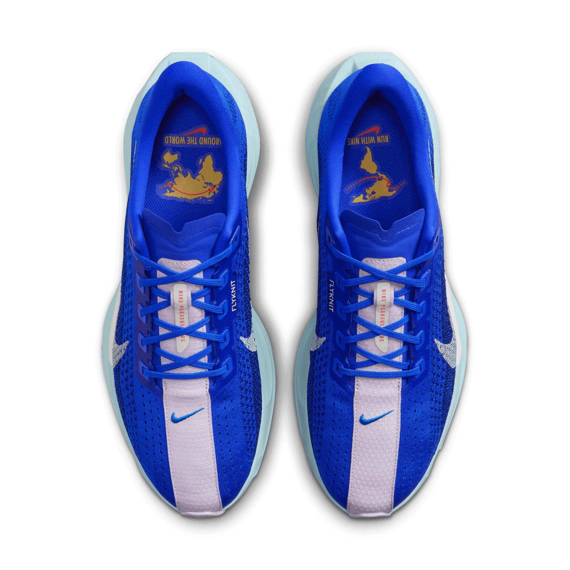 Mens Nike Pegasus Plus CM – The Running Company