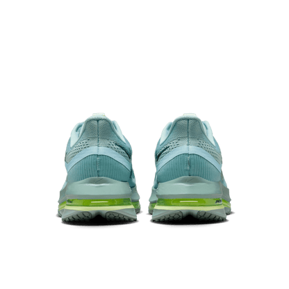 Mens Nike Pegasus Premium