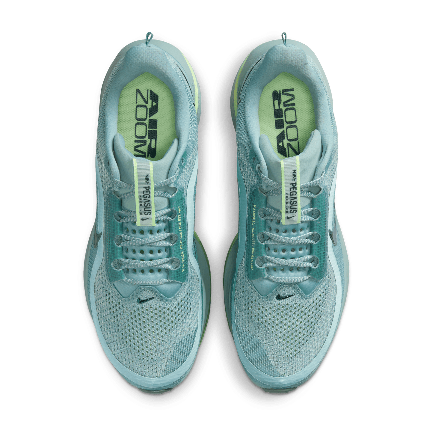 Mens Nike Pegasus Premium