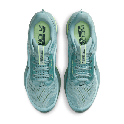 Mens Nike Pegasus Premium