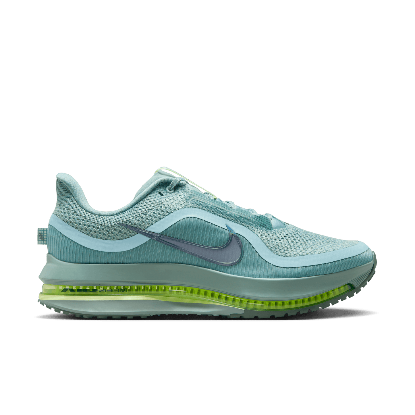 Mens Nike Pegasus Premium