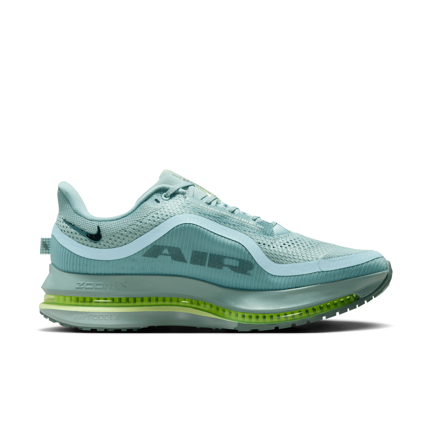 Mens Nike Pegasus Premium