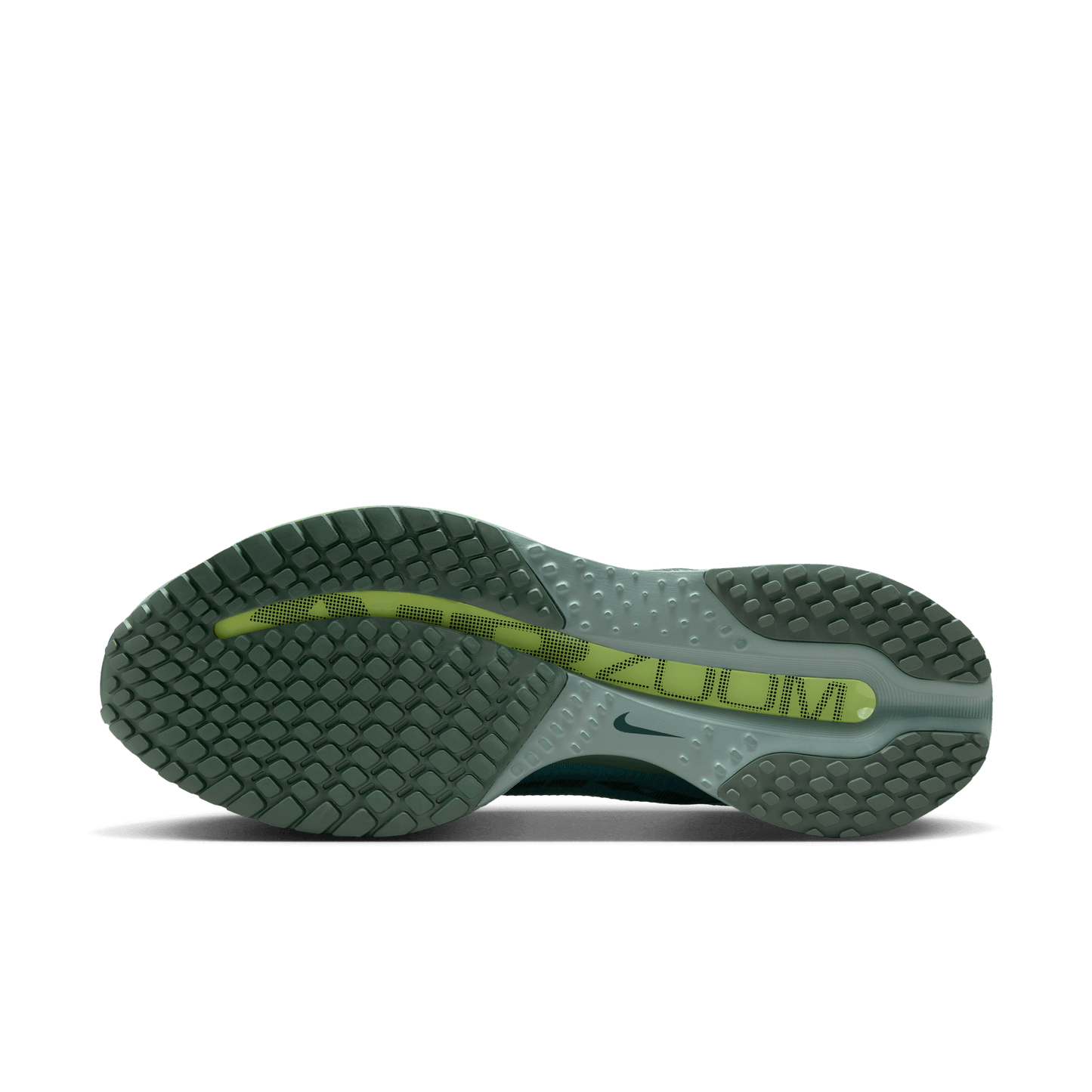 Mens Nike Pegasus Premium