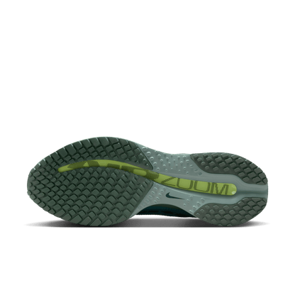 Mens Nike Pegasus Premium