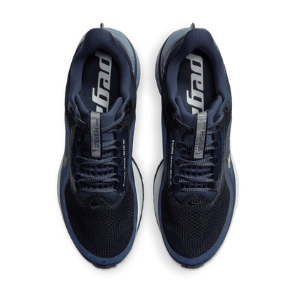 Mens Nike Pegasus Premium
