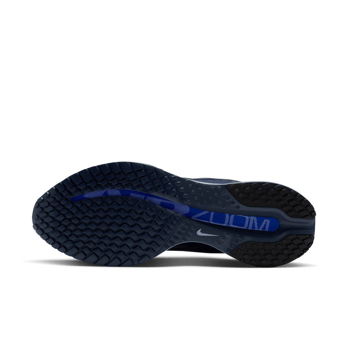 Mens Nike Pegasus Premium