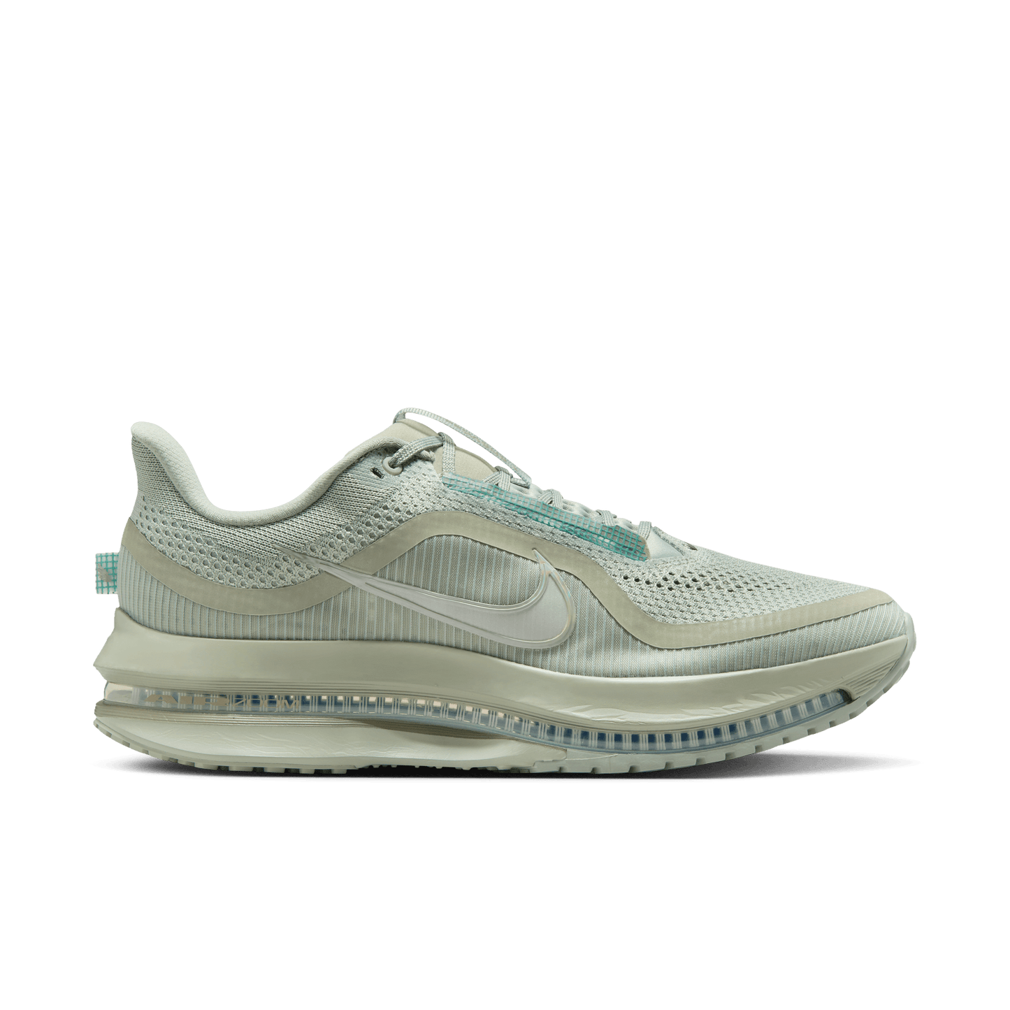 Mens Nike Pegasus Premium