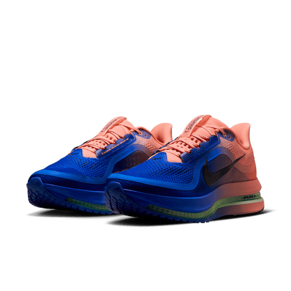Mens Nike Pegasus Premium