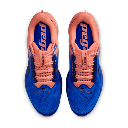 Mens Nike Pegasus Premium