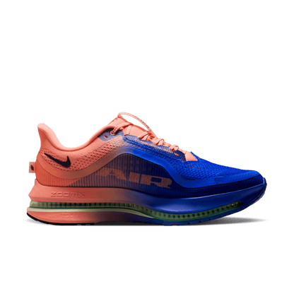 Mens Nike Pegasus Premium