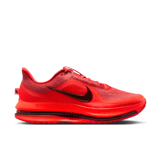 Mens Nike Pegasus Premium