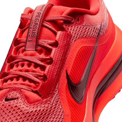 Mens Nike Pegasus Premium