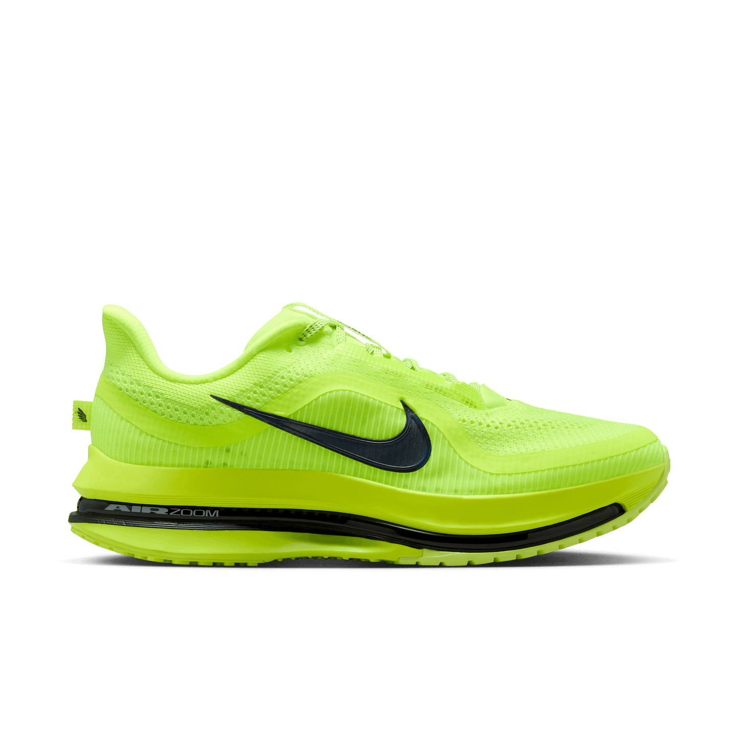 Mens Nike Pegasus Premium