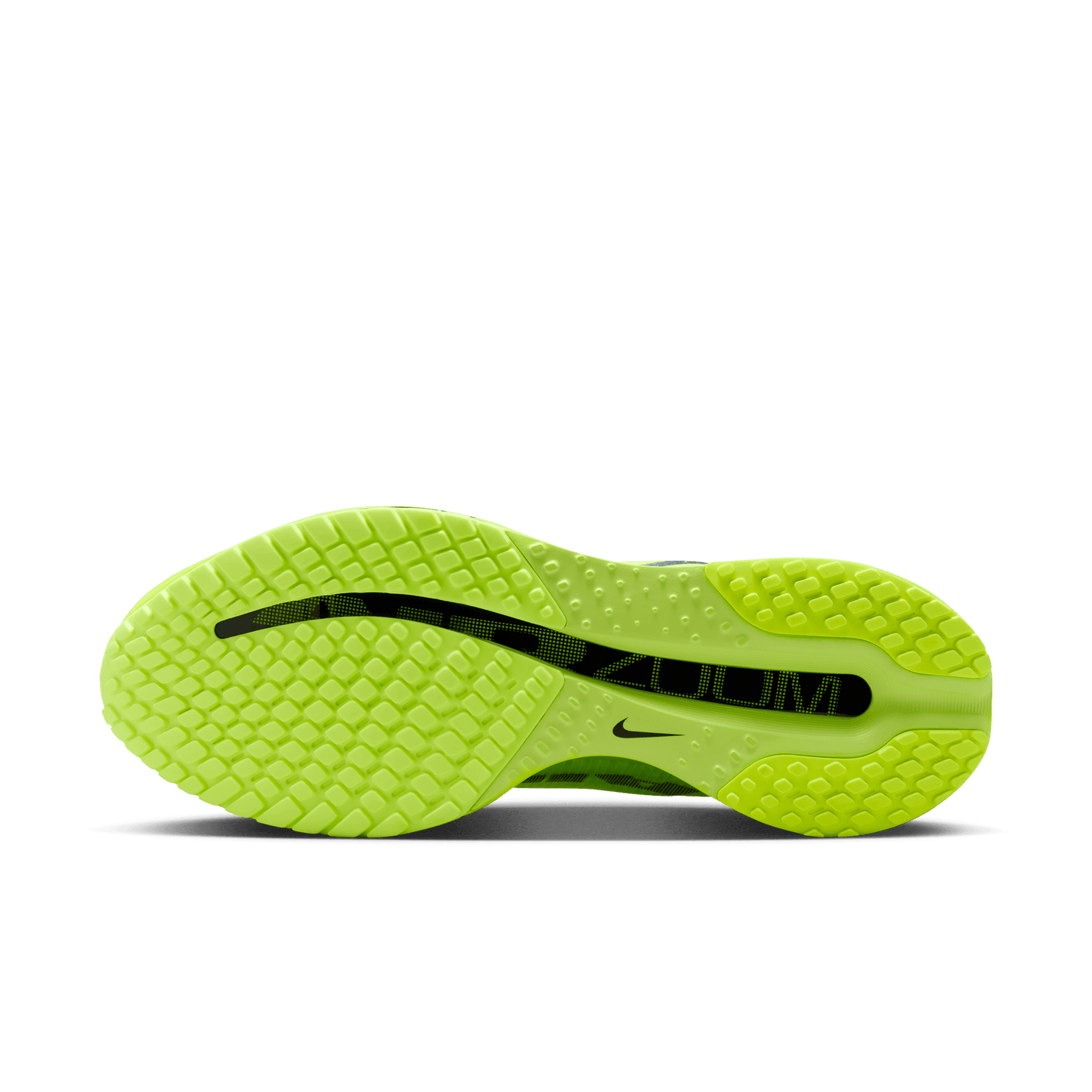 Mens Nike Pegasus Premium