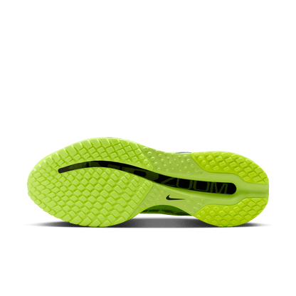 Mens Nike Pegasus Premium