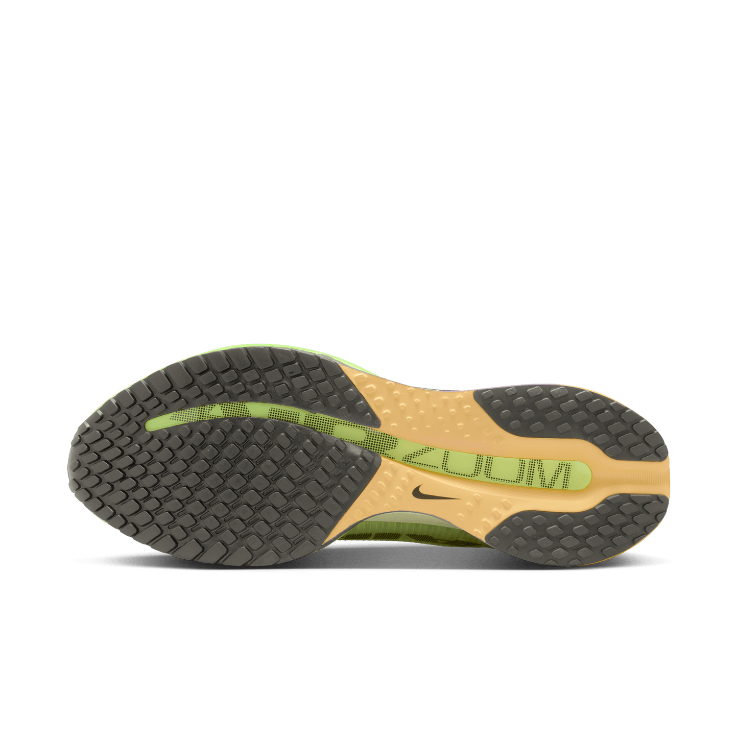 Mens Nike Pegasus Premium