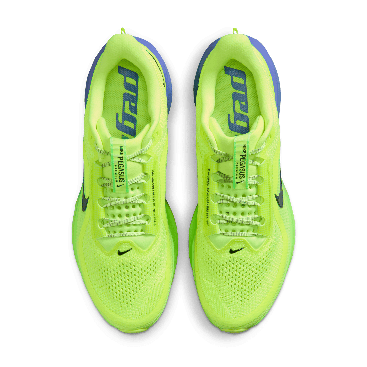 Mens Nike Pegasus Premium