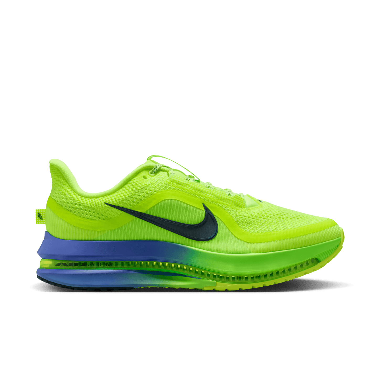 Mens Nike Pegasus Premium