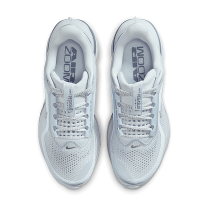 Womens Nike Pegasus Premium