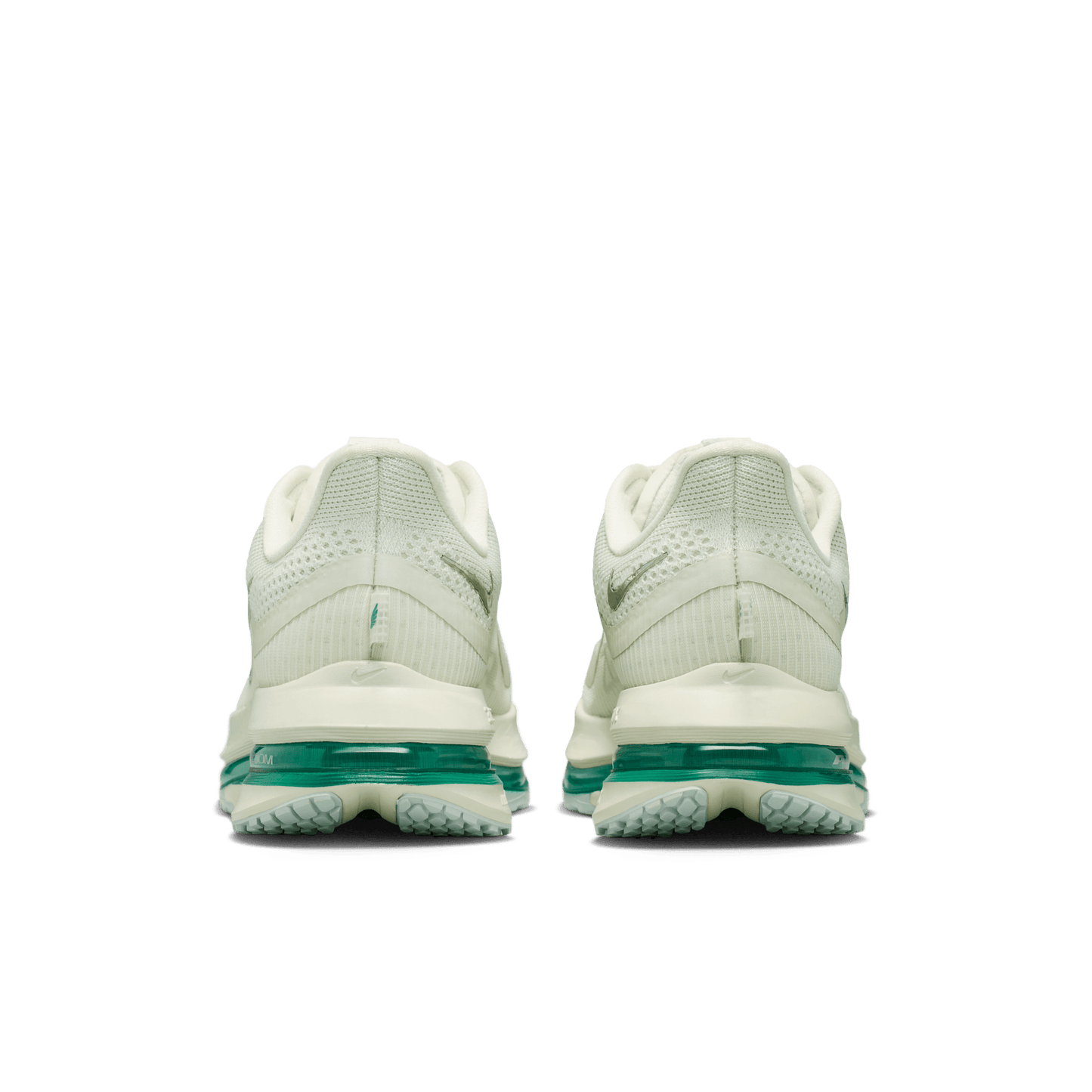 Womens Nike Pegasus Premium
