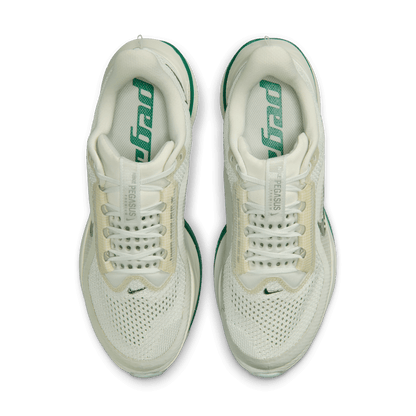 Womens Nike Pegasus Premium
