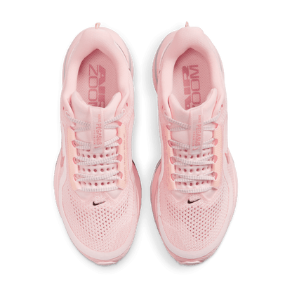 Womens Nike Pegasus Premium