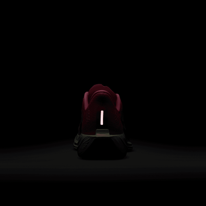 Womens Nike Pegasus Plus