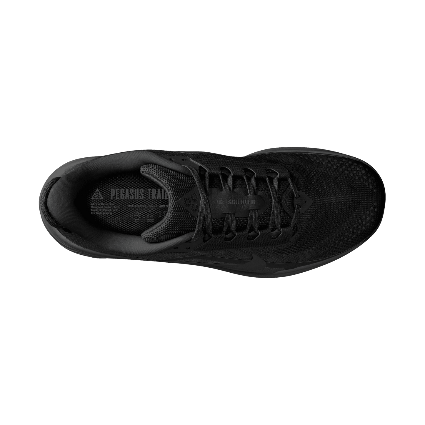Mens Nike ACG Pegasus Trail