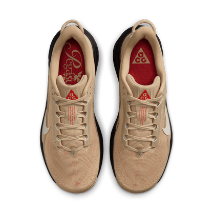 Mens Nike ACG Pegasus Trail