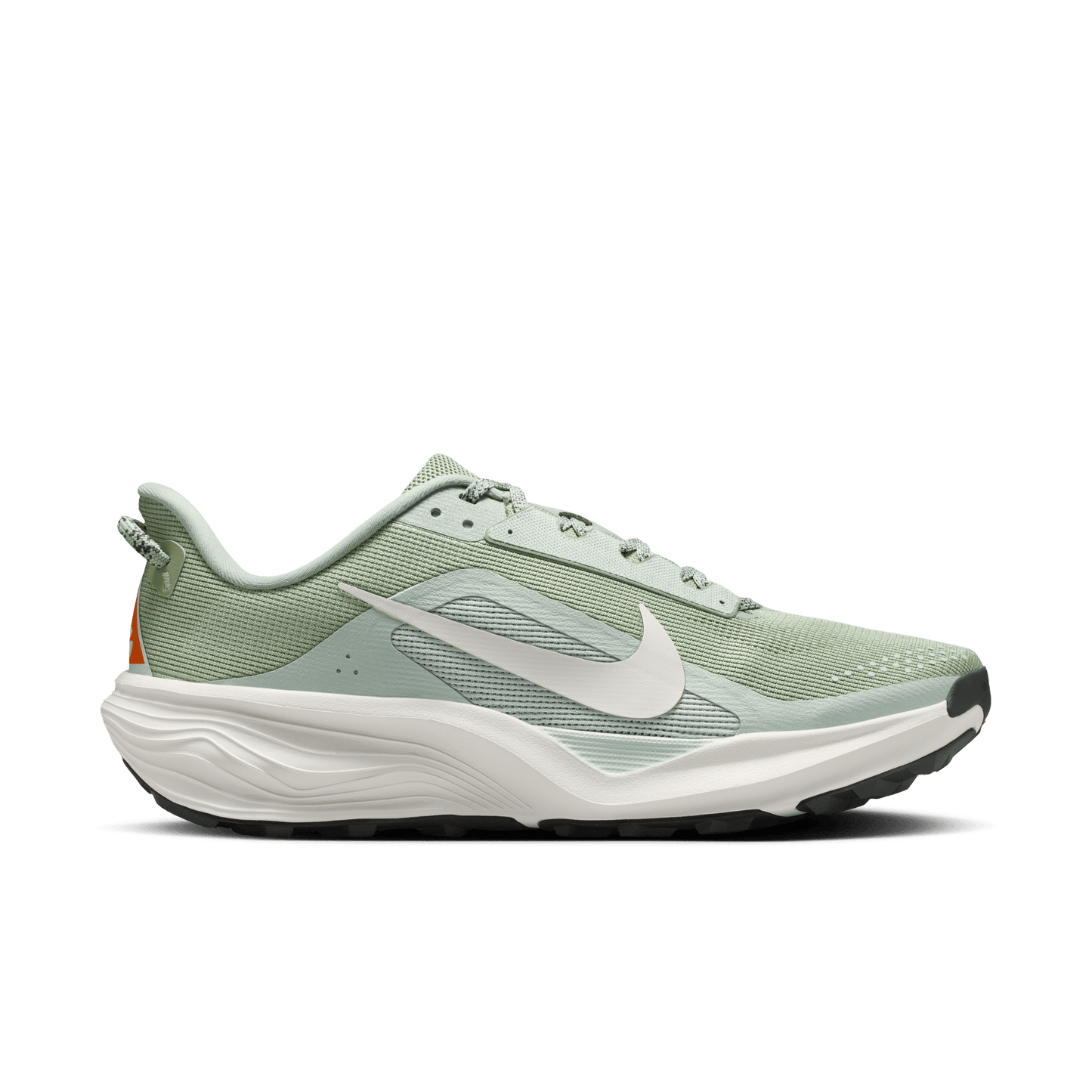Mens Nike ACG Pegasus Trail