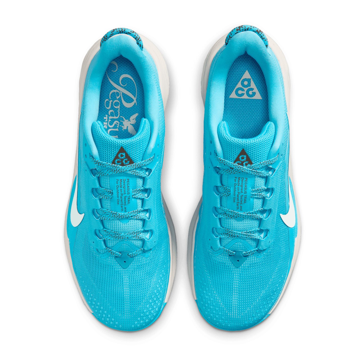Mens Nike ACG Pegasus Trail