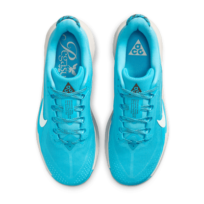 Mens Nike ACG Pegasus Trail