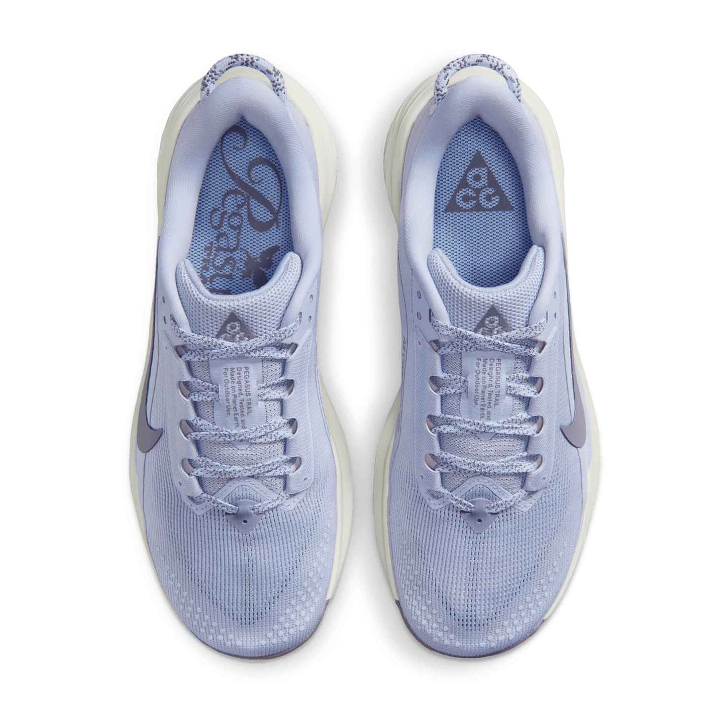 Womens Nike ACG Pegasus Trail
