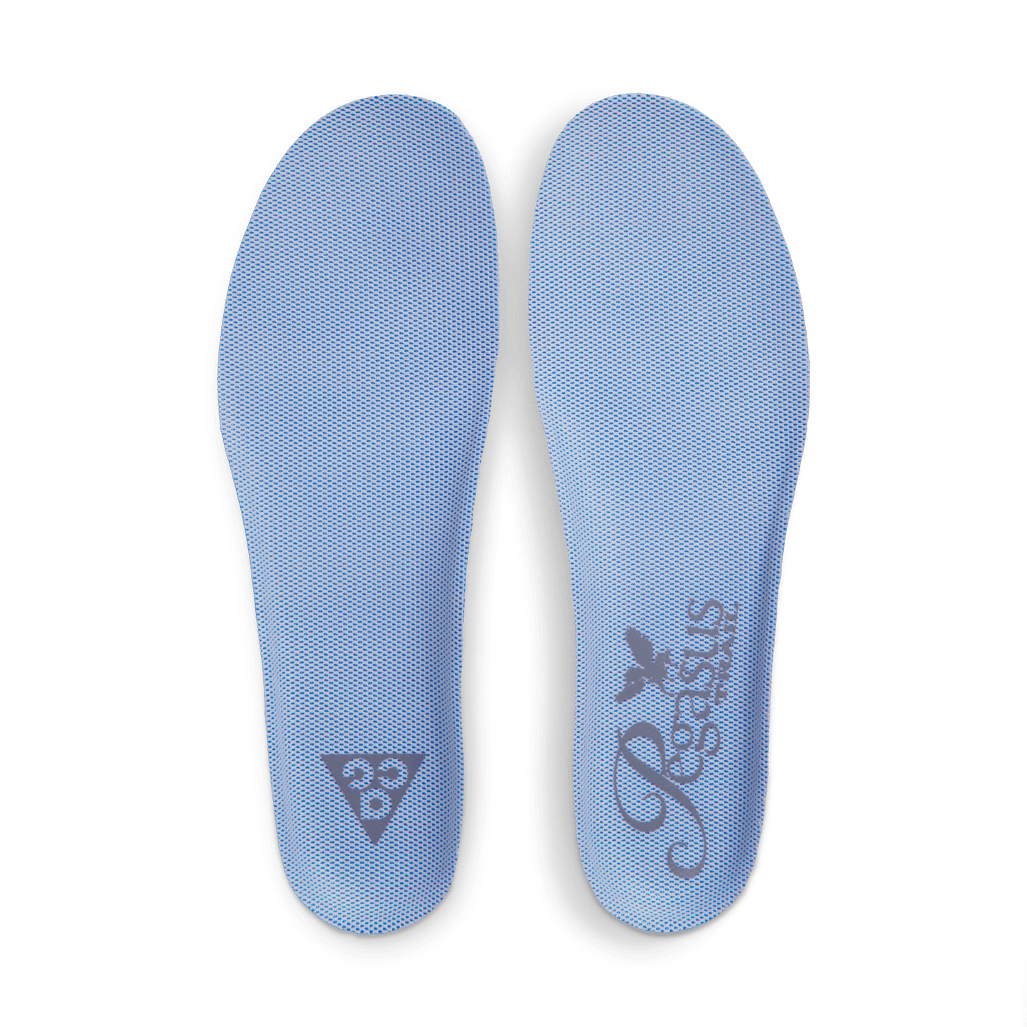 Womens Nike ACG Pegasus Trail