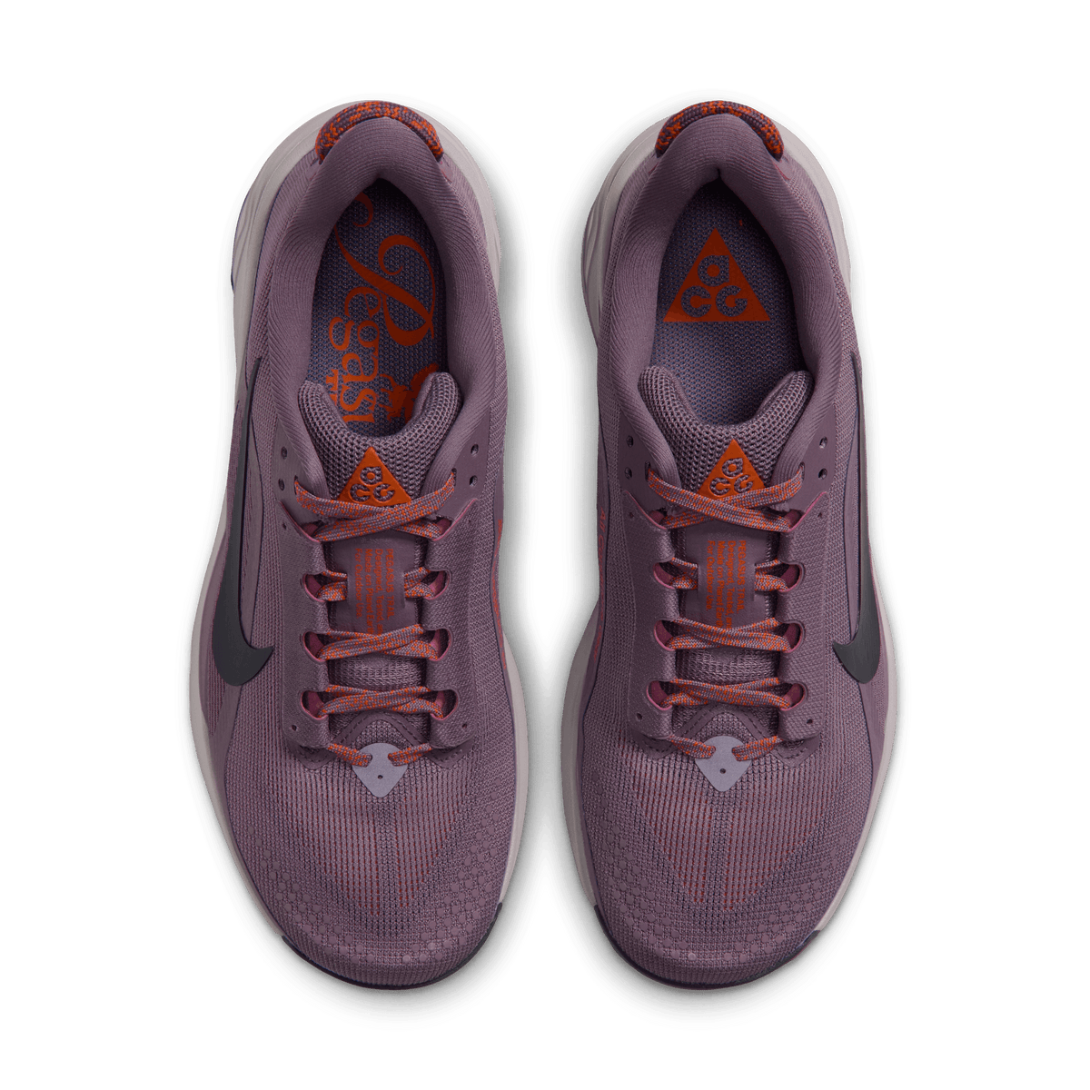 Womens Nike ACG Pegasus Trail