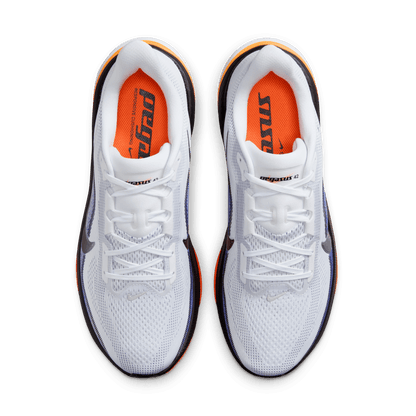 Mens Nike Pegasus 42