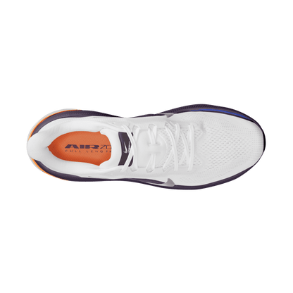 Mens Nike Pegasus 42