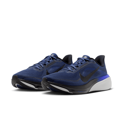 Mens Nike Pegasus 42