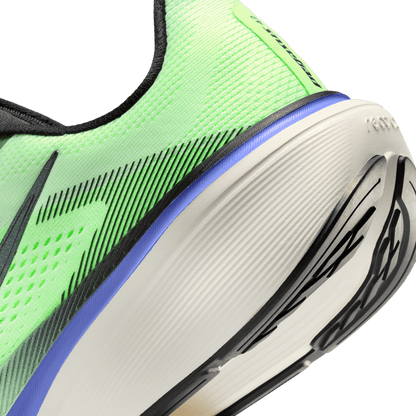 Mens Nike Pegasus 42